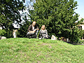 Uniwersytet w Lund (z Ch. Rein-Seehusen) Uniwersytet w Lund (z Ch. Rein-Seehusen)